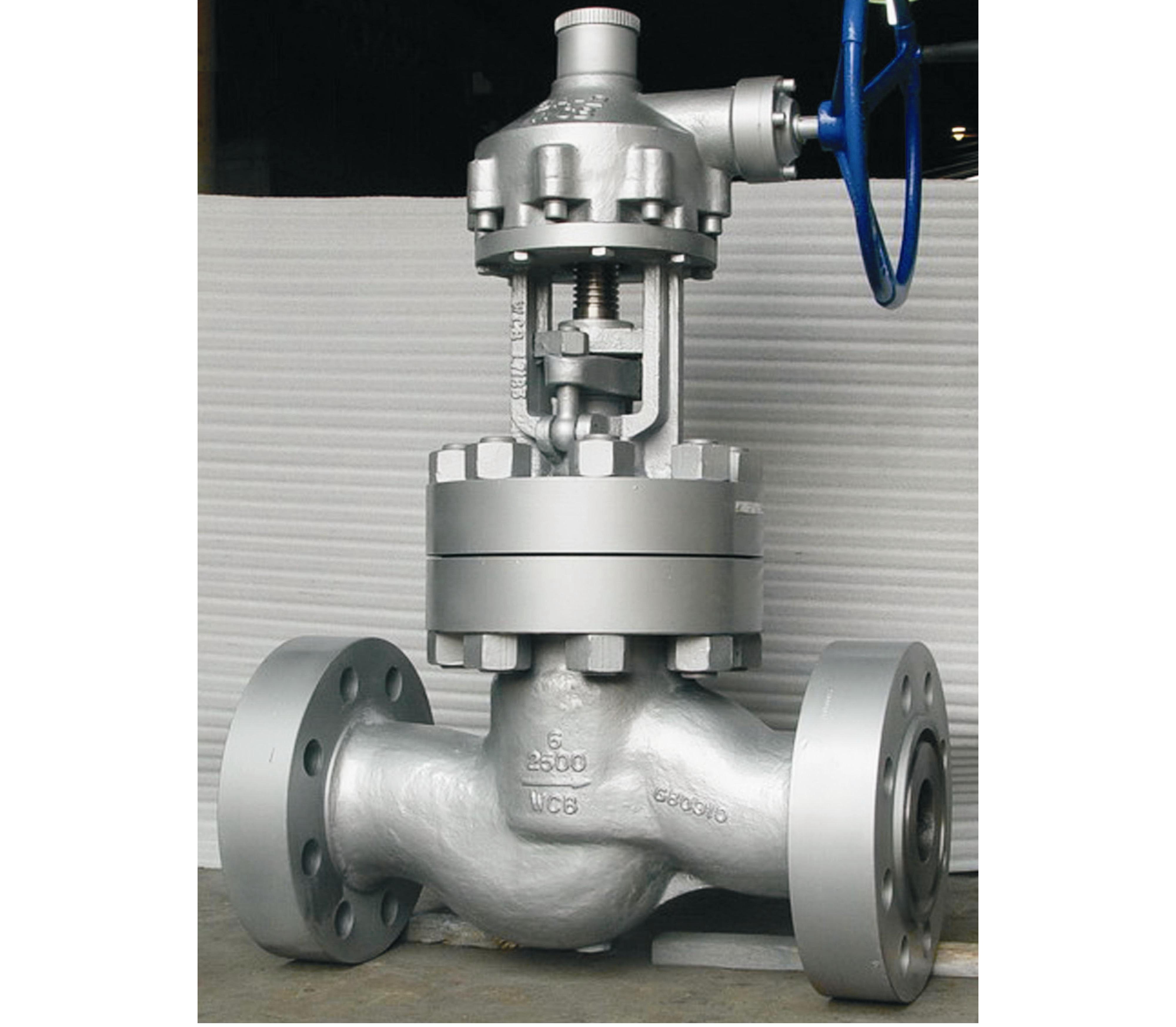 Globe valves for steam фото 71